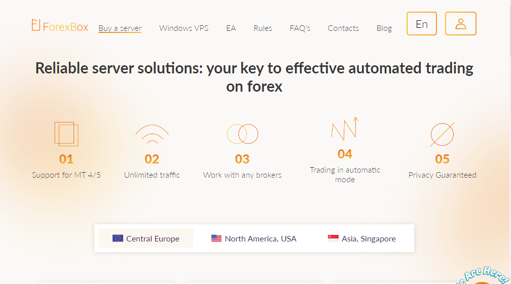 forex-box